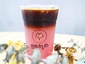 姜味关系,探寻传统美食中的独特魅力