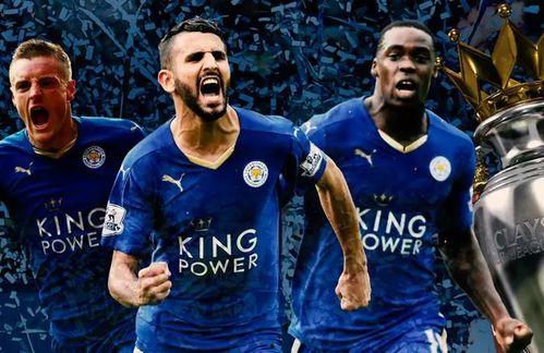 24-25赛季英超第16轮 纽卡斯尔联VS莱斯特城,英超第16轮焦点对决！”