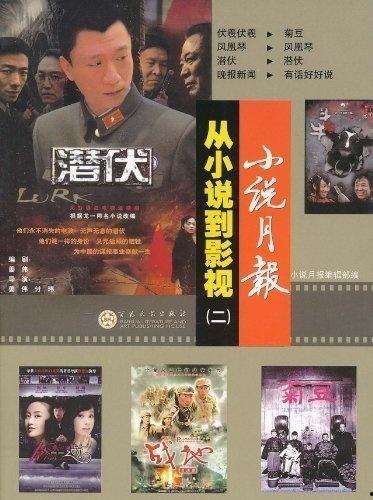 电影小说2,穿越时空的奇幻之旅