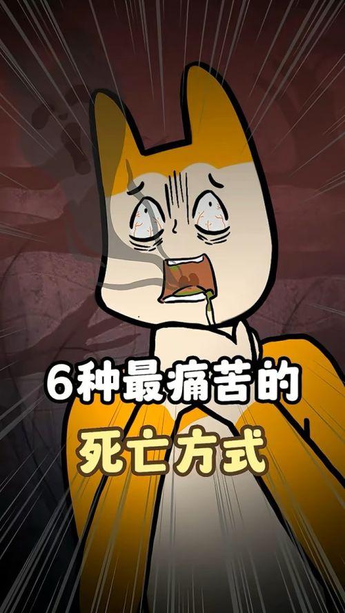 6种死亡方式,揭秘六种致命死亡方式的神秘面纱