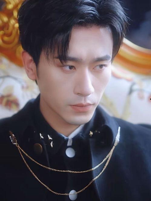 少帅你别过分野,野生成风的甜蜜纠葛