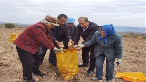 我终于带领全村走上致富路,共筑乡村振兴梦——记我带领全村走上致富路