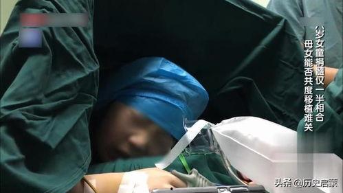 我的女儿不捐髓,家庭情感与伦理抉择的深刻反思