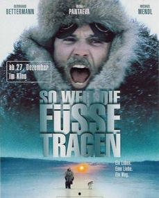 极地重生,揭秘南极探险的奇迹之旅